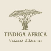Picture of Tindiga Africa